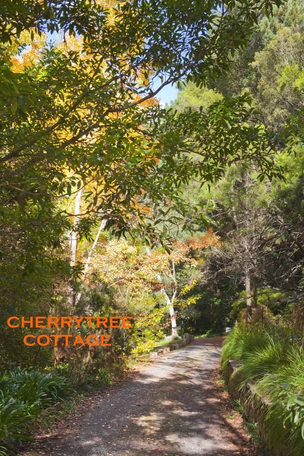Crafers Cottages Adelaide Camera foto