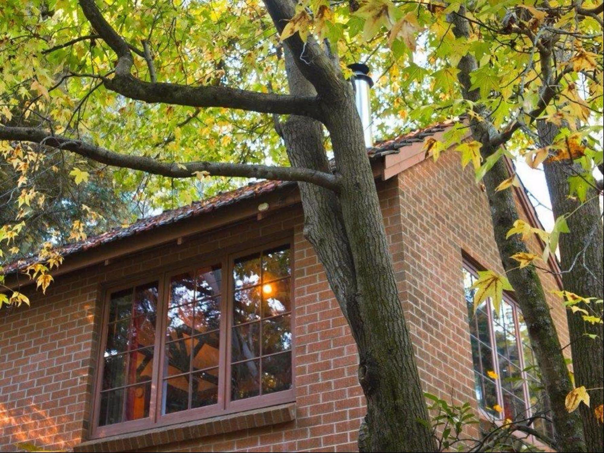 Crafers Cottages Adelaide Esterno foto
